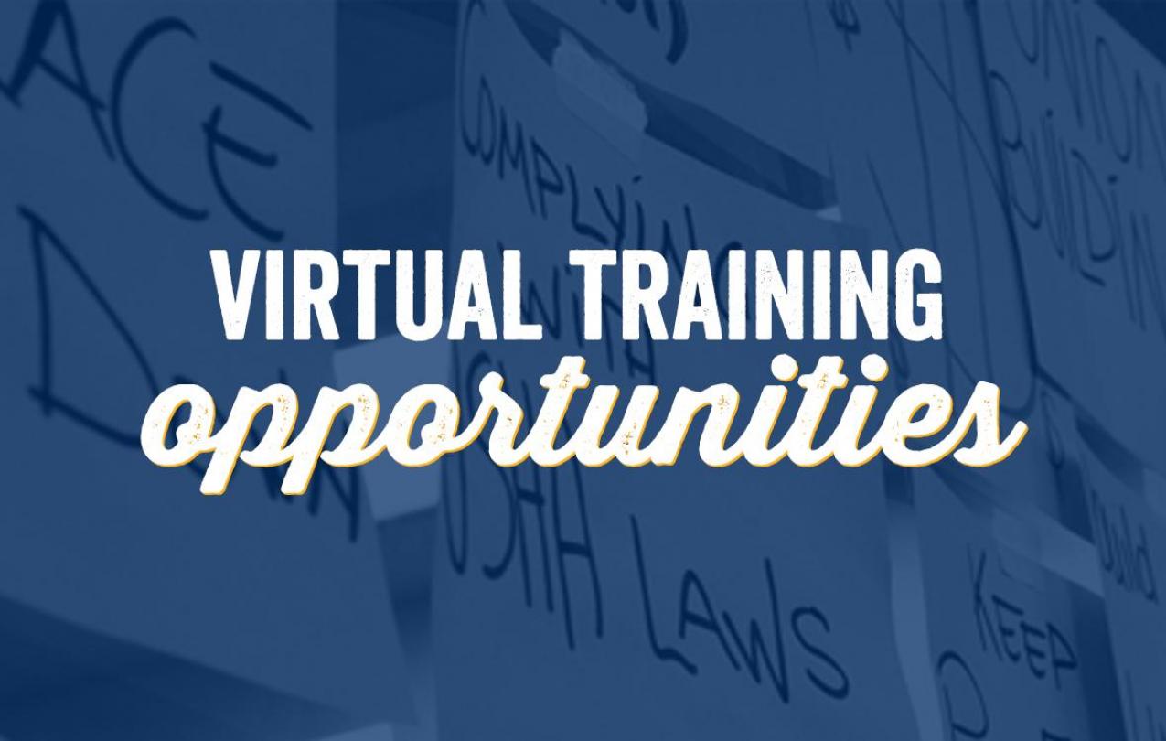 virtual training opportunities